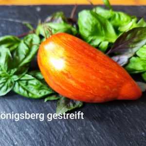 Königsberg gestreift