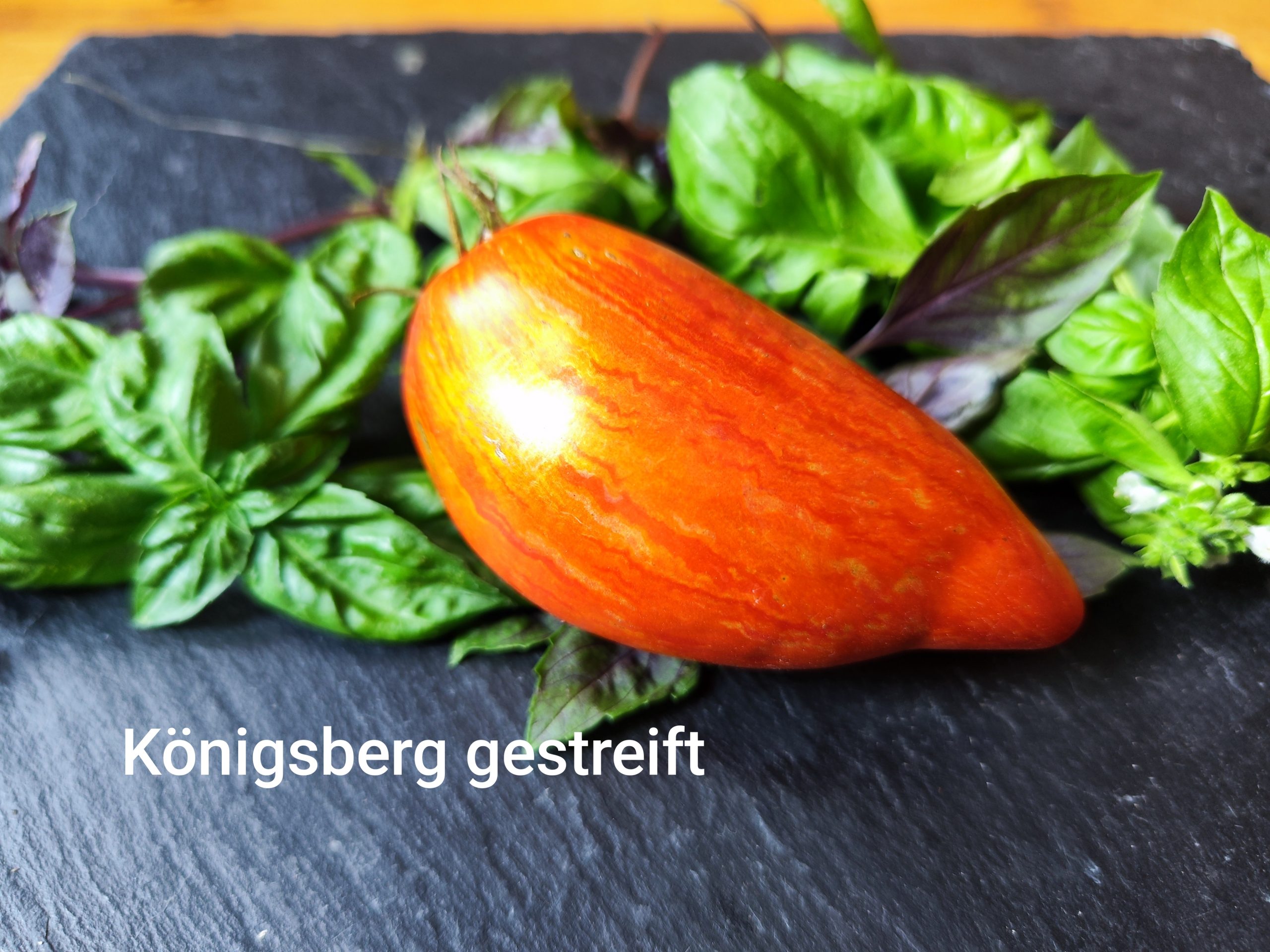 Königsberg gestreift