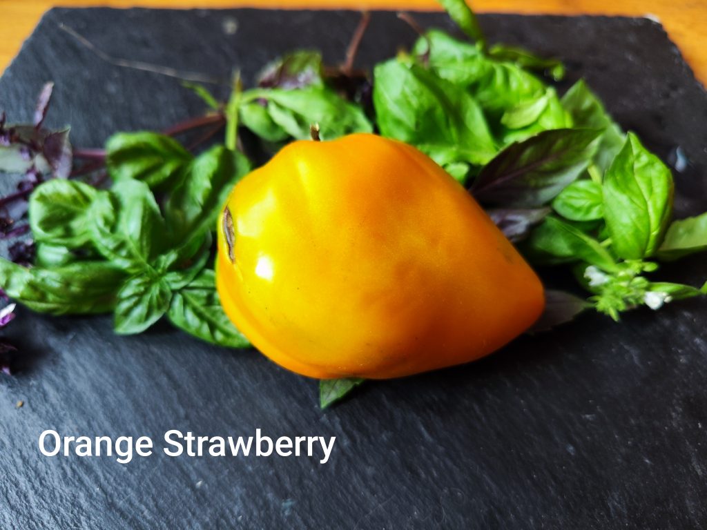 Orange Strawberry