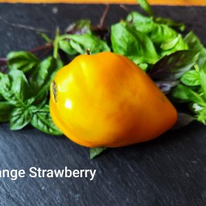 Orange Strawberry