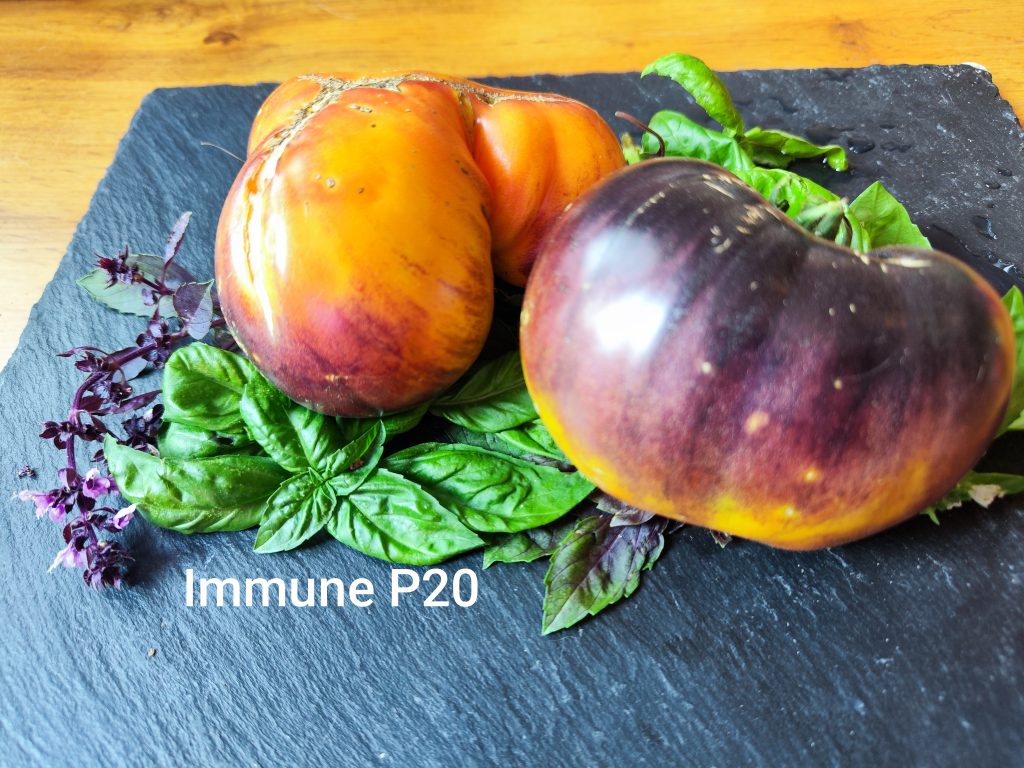Immune P20