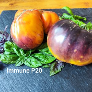 Immune P20