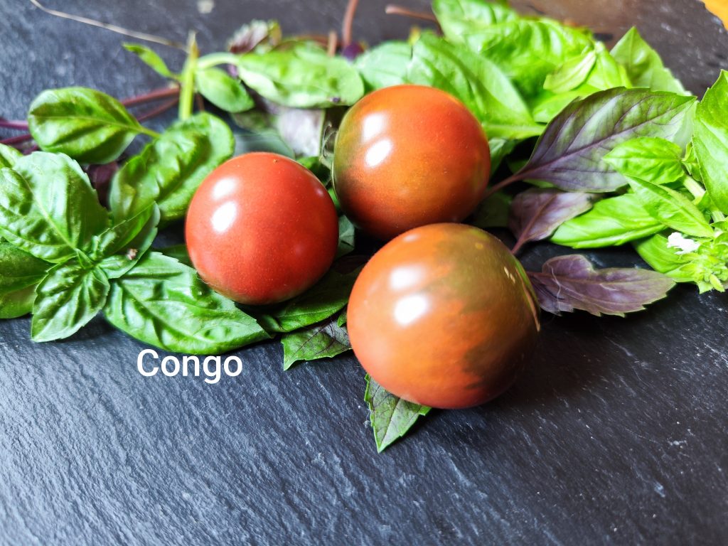 Congo