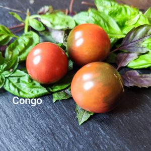 Congo