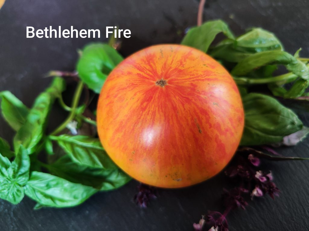 Bethlehem Fire