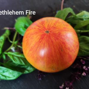 Bethlehem Fire