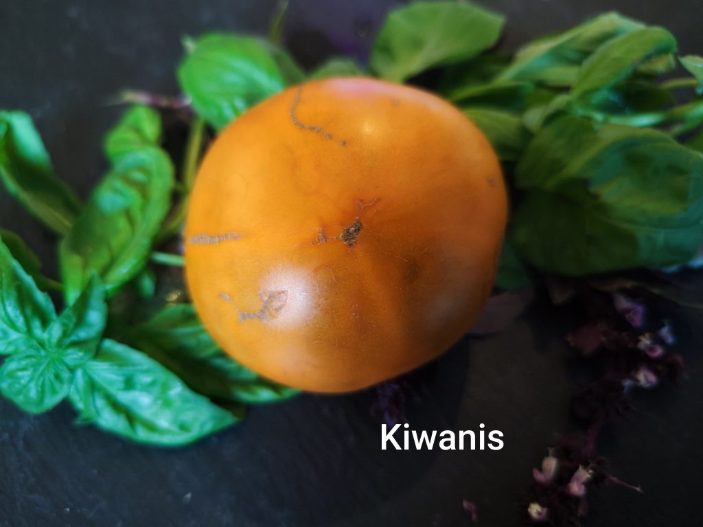 Kiwanis