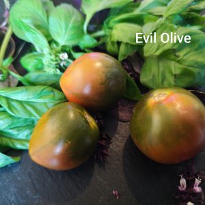 Evil olive