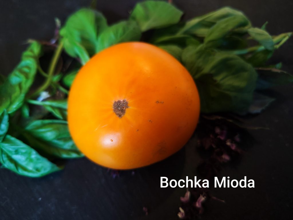 Bochka mioda