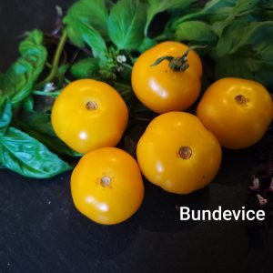 Bundevice