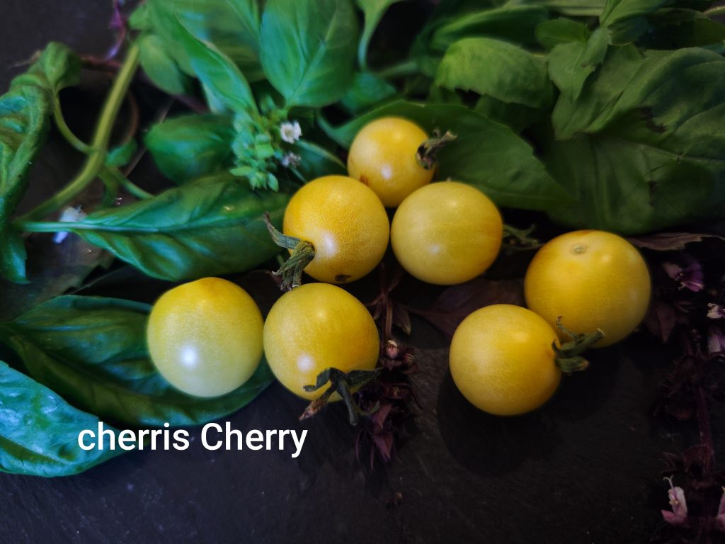 CHERI`S CHERRY