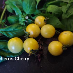 CHERI`S CHERRY