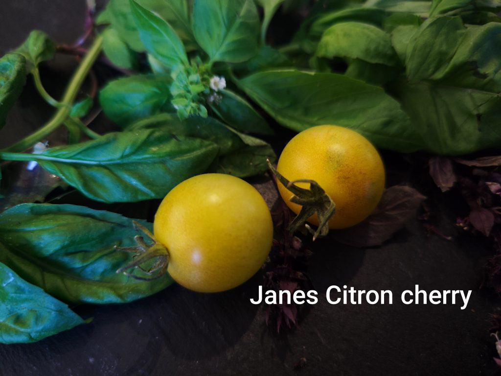Janes citron cherry