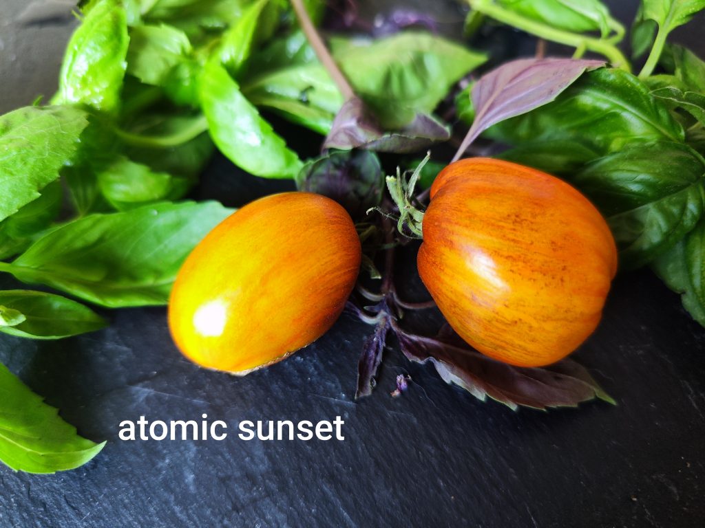 Atomic sunset