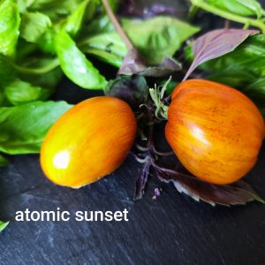 Atomic sunset