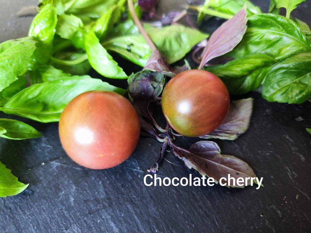Chocolate cherry