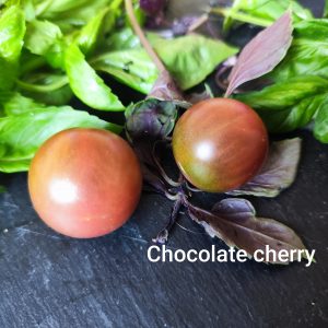 Chocolate cherry
