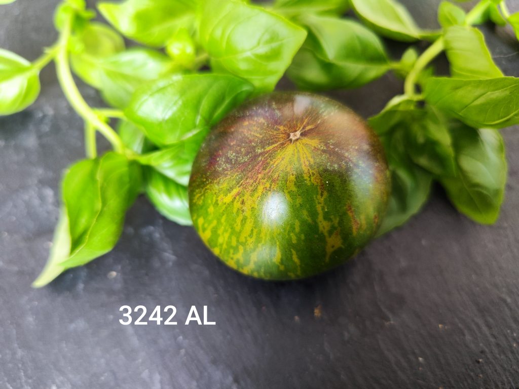 3242 AL