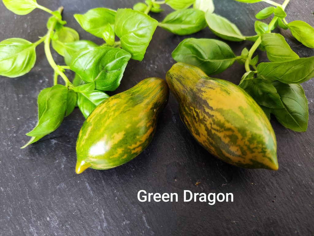 Green Dragon