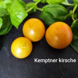 Kemptner Kirsche