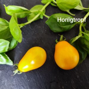 Honigtröpfchen