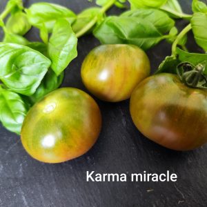 Karma miracle