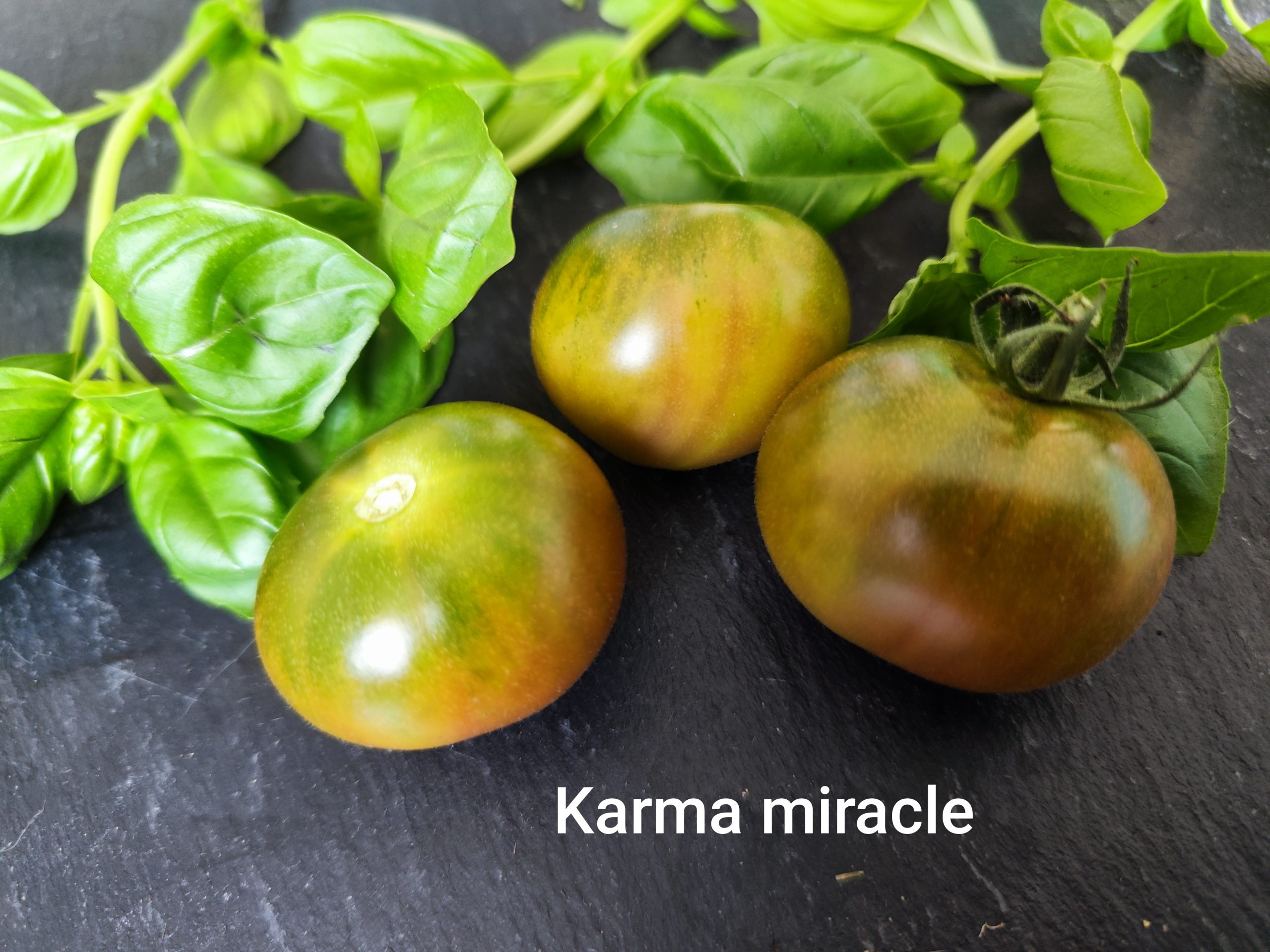 Karma miracle