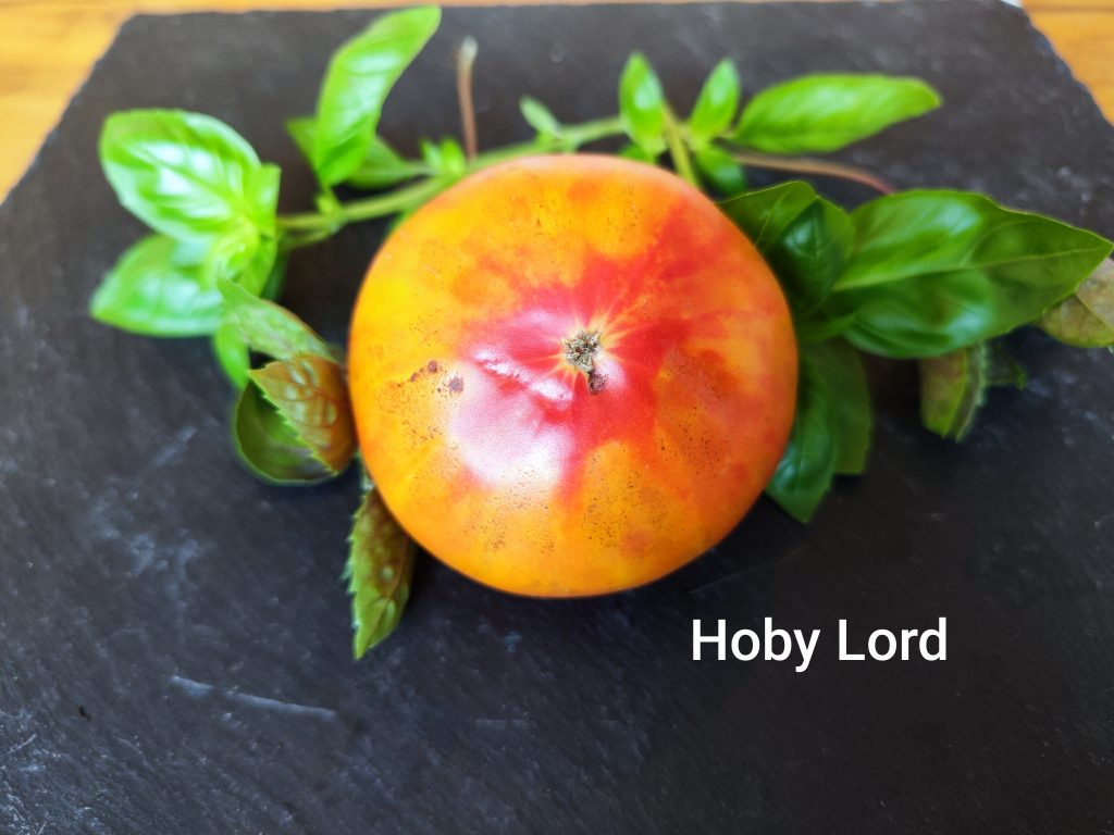 Hoby Lord