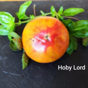 Hoby Lord