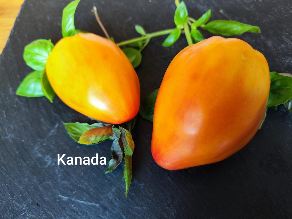 Kanada