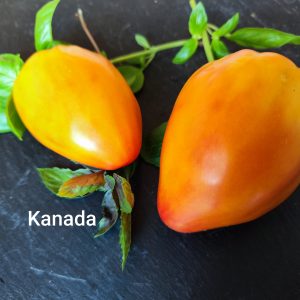 Kanada