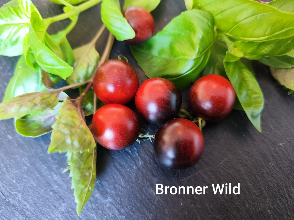 Bronner wild