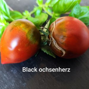 Black Ochsenherz