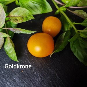Goldkrone Cherry