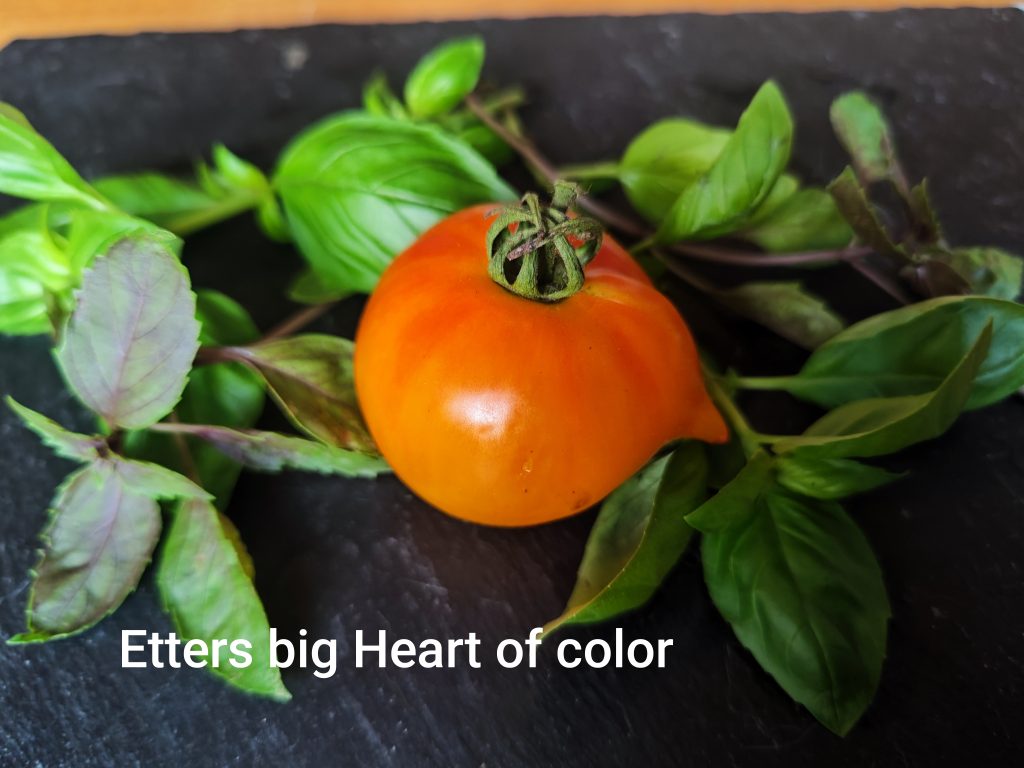 Etter's big heart of color