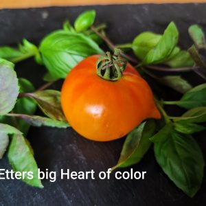 Etter's big heart of color