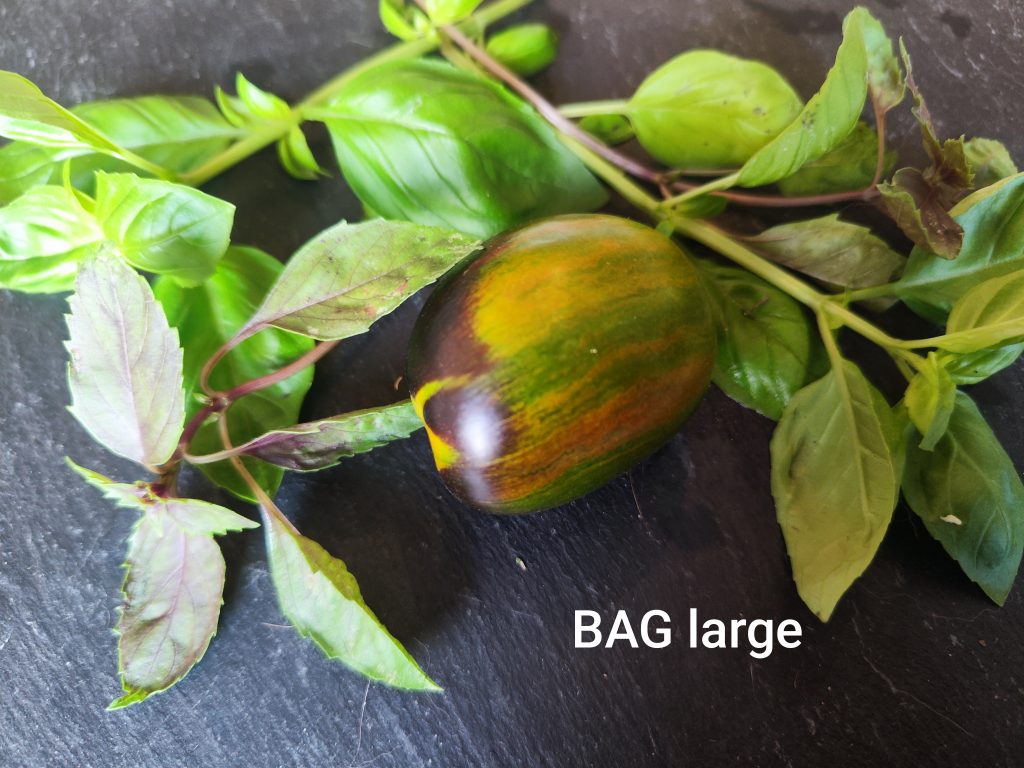 BAG Large