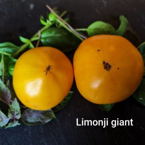 Limonji Giant