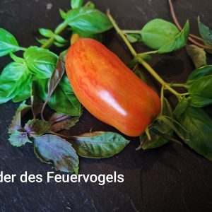 Feder des Feuervogels