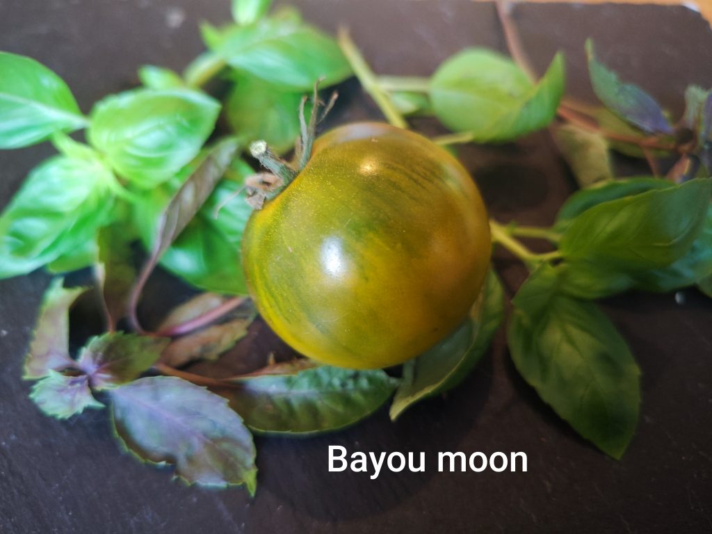 Bayou moon