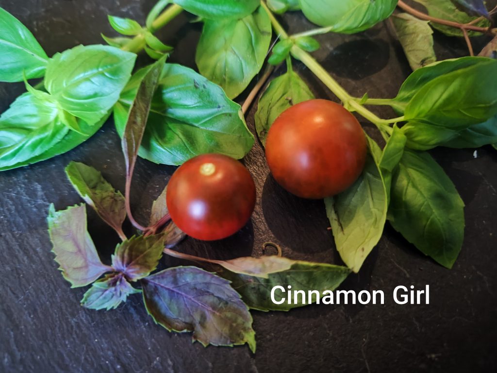 Cinnamon girl