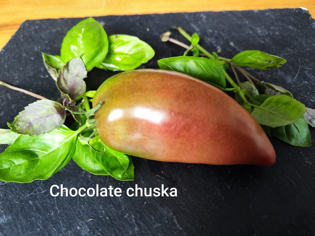 Chocolate Chushka