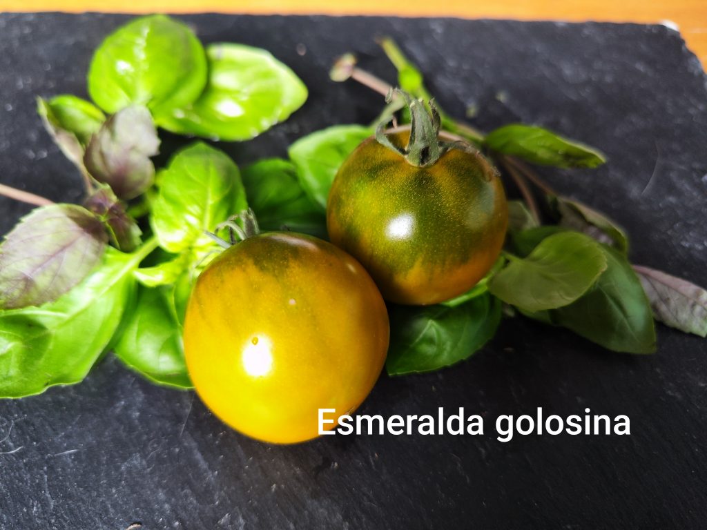 Esmeralda golosina
