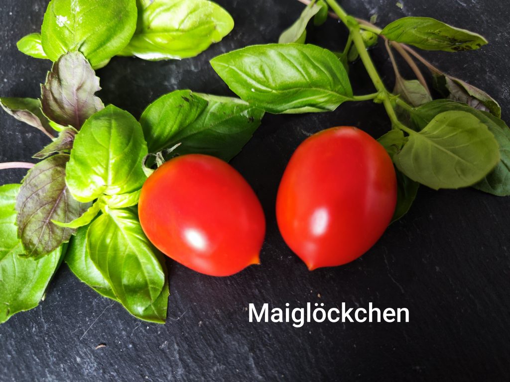 Maiglöckchen