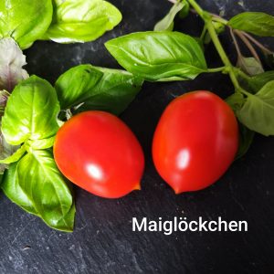 Maiglöckchen
