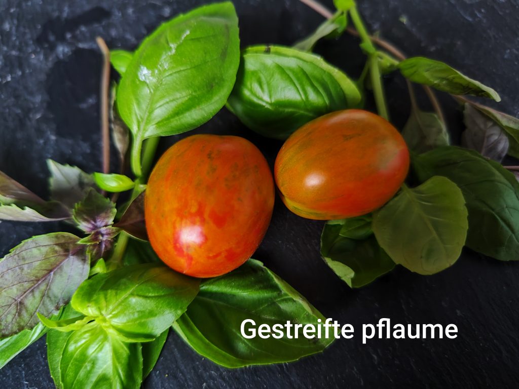 Gestreifte Pflaume