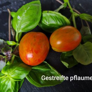 Gestreifte Pflaume