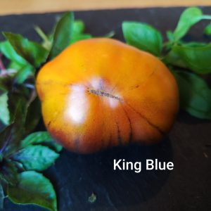 King Blue