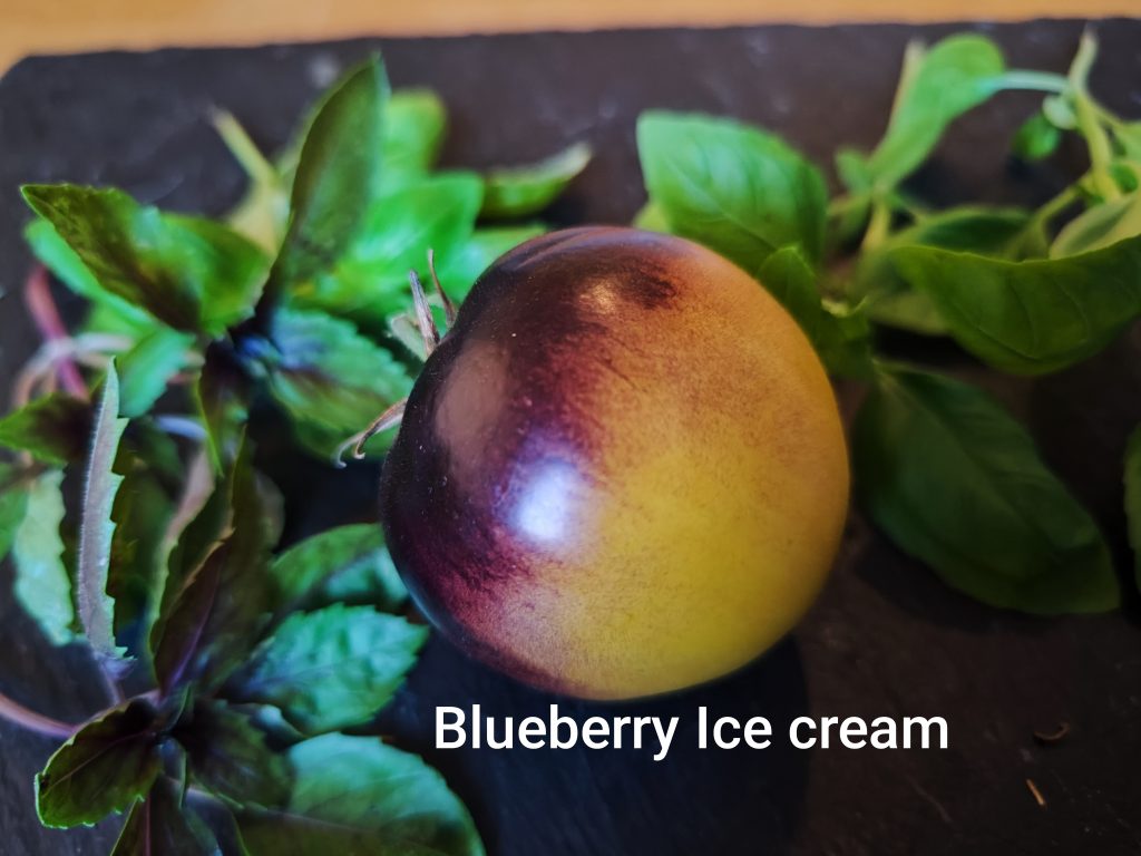 Blue berry icecream