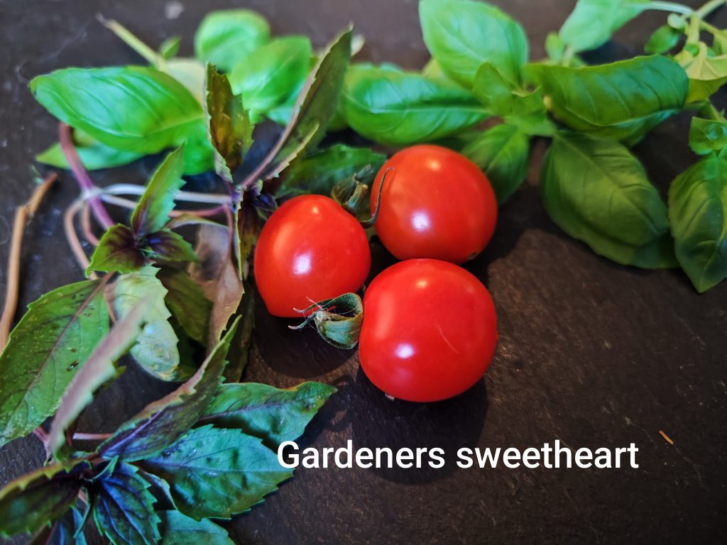 Gardeners Sweetheart